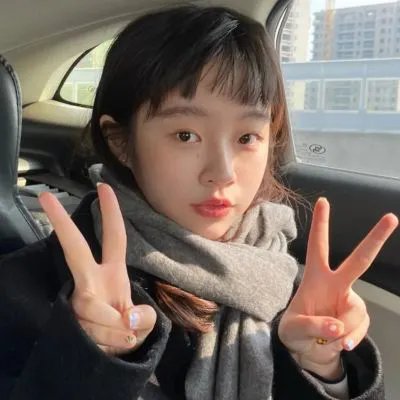 新忠烈图
